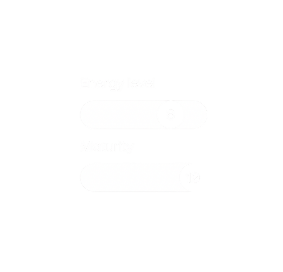 Tuned to your brand - We control how energy rises and falls throughout the day to match the natural rhythm of your space.